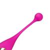Female Vibrator Toy Waterproof USB 10 Modes Soft Silicone Women Massage Vibrator for Home Pink