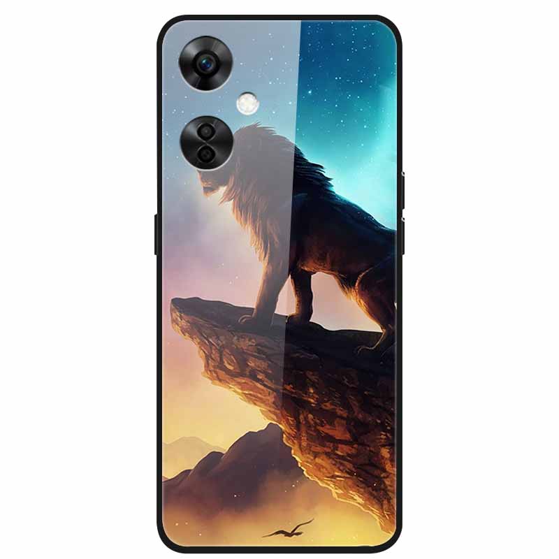 For One Plus Nord CE 3 Lite 5G Case N30 Tempered Glass Hard Back Cover for Oneplus Nord CE3 Lite N 30 Cases Bumper 3lite CE3Lite