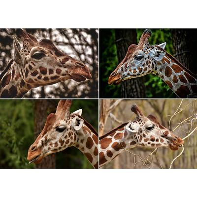 Pittura Diamante 5D Fai da Te Strass Immagini Animali Ricamo Diamante Pieno Giraffa Mosaico Kit Punto Croce Decorazione Casa Regali