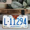 Car License Plate Metal Wall Decor 15x30cm