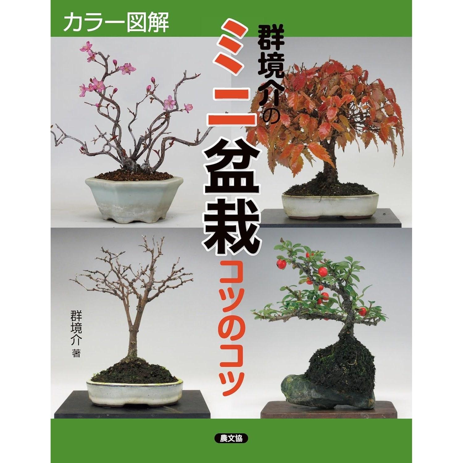 Color Illustrated Mini Bonsai Grouping Techniques Tips Tricks