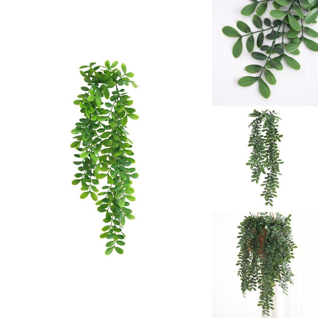 Wall Hanging Green Common Bowringia Plant With Three Color Faux Vine For Home Decor And Living Room