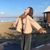 Women's Autumn 2025 Short Shearling Suede Coat - New Style for Early Winter