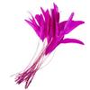 10Pcs Natural Feather Rooster Feather Multicolor Craft Feathers  Wedding Decor