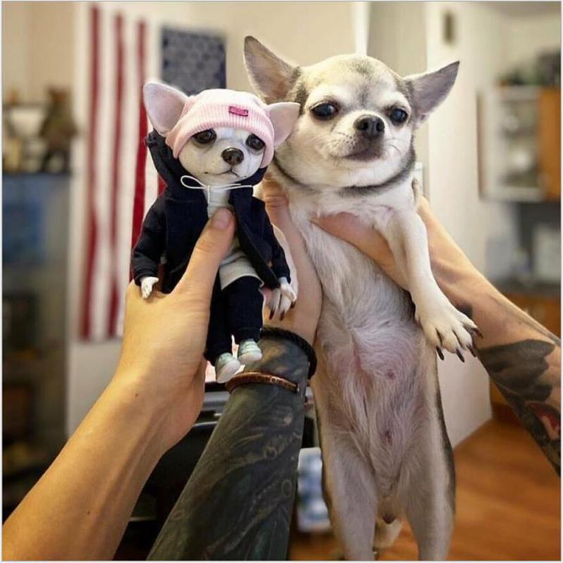 Niedliches Tier Mogwai Handgemachte Welpenpuppen Von Valentina Gekova Chihuahua SharPei Hund Statue Heimdeko Figur Zubehör