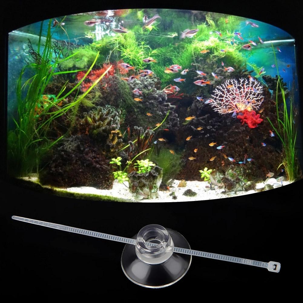 Transparent Aquarium Fish Tank Suction Cups For Sucker Pads Heater Pipe Air Tube