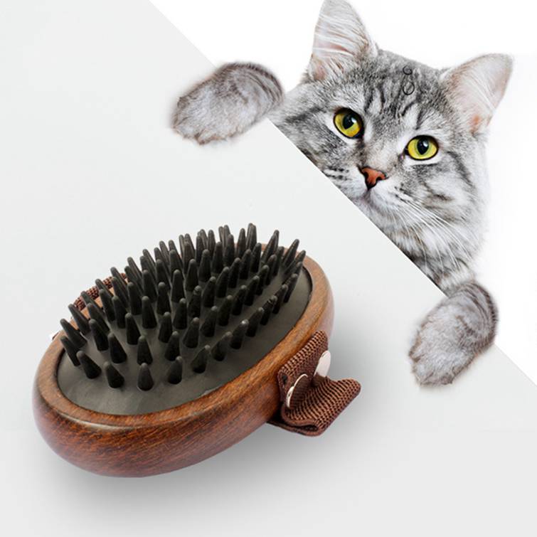 mane comb cat