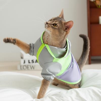 Spring and Summer Pets Go Out Sunscreen Bipods Can Attract Cool Feeling Small Dogs Bigbear Teddy Dogs Cat Clothes