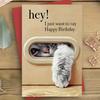 1pc Unique Cat Peeking Through Door Window Birthday Card - "Hey! I Just Want To Say Happy Birthday" Humorous Greeting Card