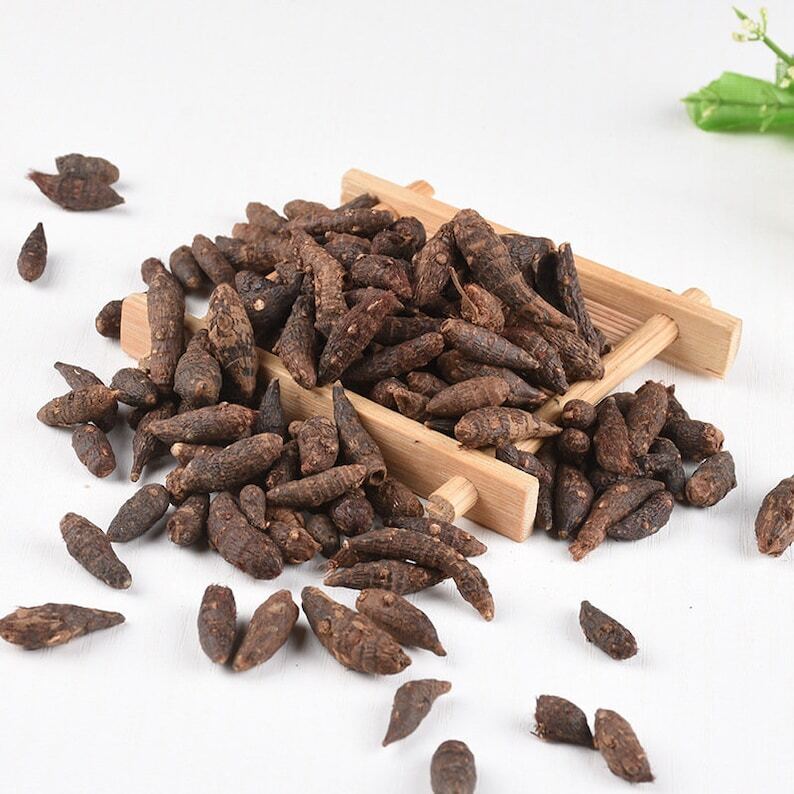 Dried Nut Grass Nutgrass Rhizoma Cyperi Rhizome Rhizoma Cyperi Xiang Fu Zi 500g