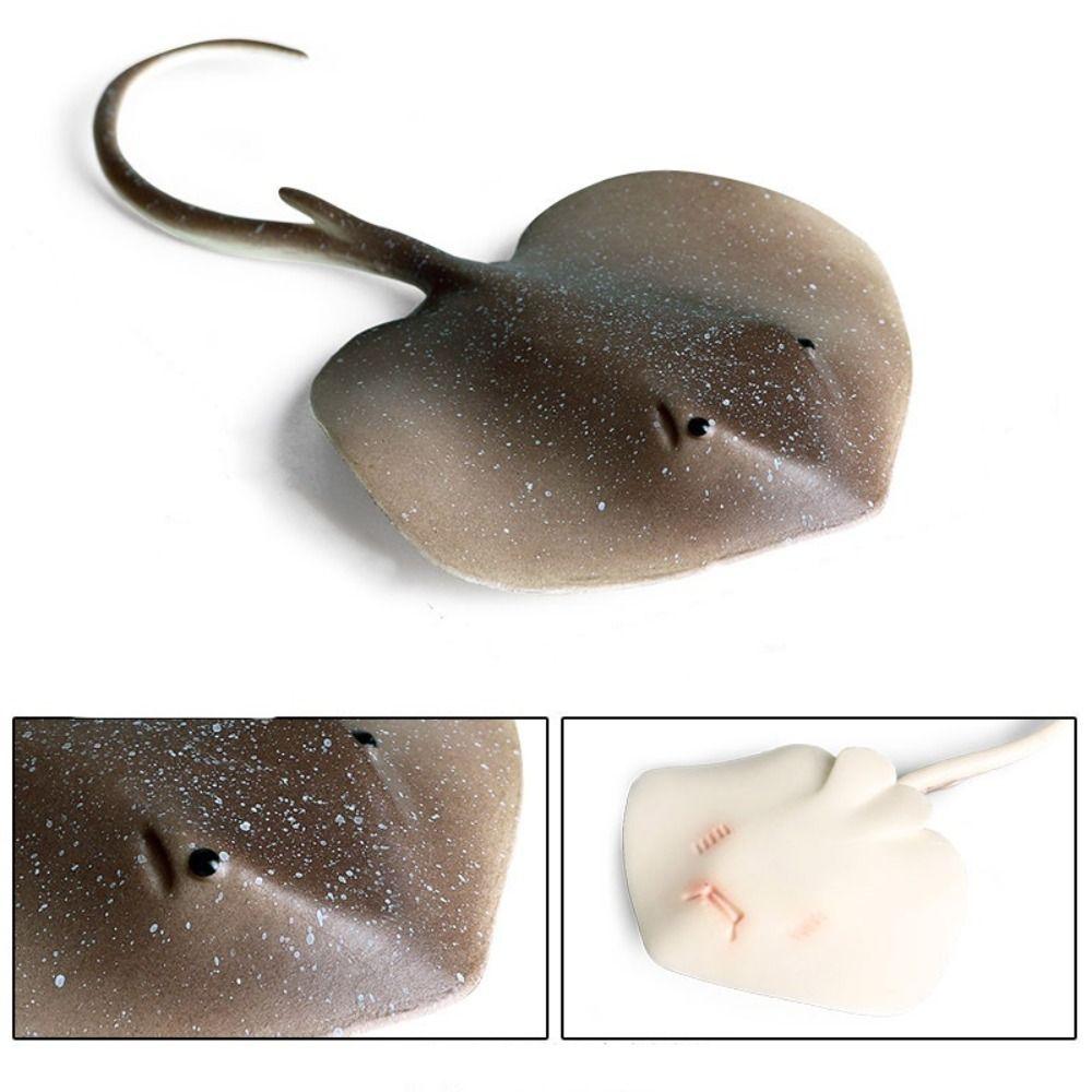 Fish Model Manta Ray Model Miniature Sea Life Action Figurines Ocean Animal Figures  Kids Toy