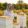 Anti Bee Hat Beekeeper Beehive Beekeeping Cowboy Hat Mosquito Bee Insect Net Veil Head Face Protector Beekeeper Equipment