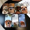 Lustige Süße Hund Handyhülle Für iPhone 17,16,15,14,13,12,11 Plus,Pro Max,XS,Weiche Silikon Schwarze Hülle