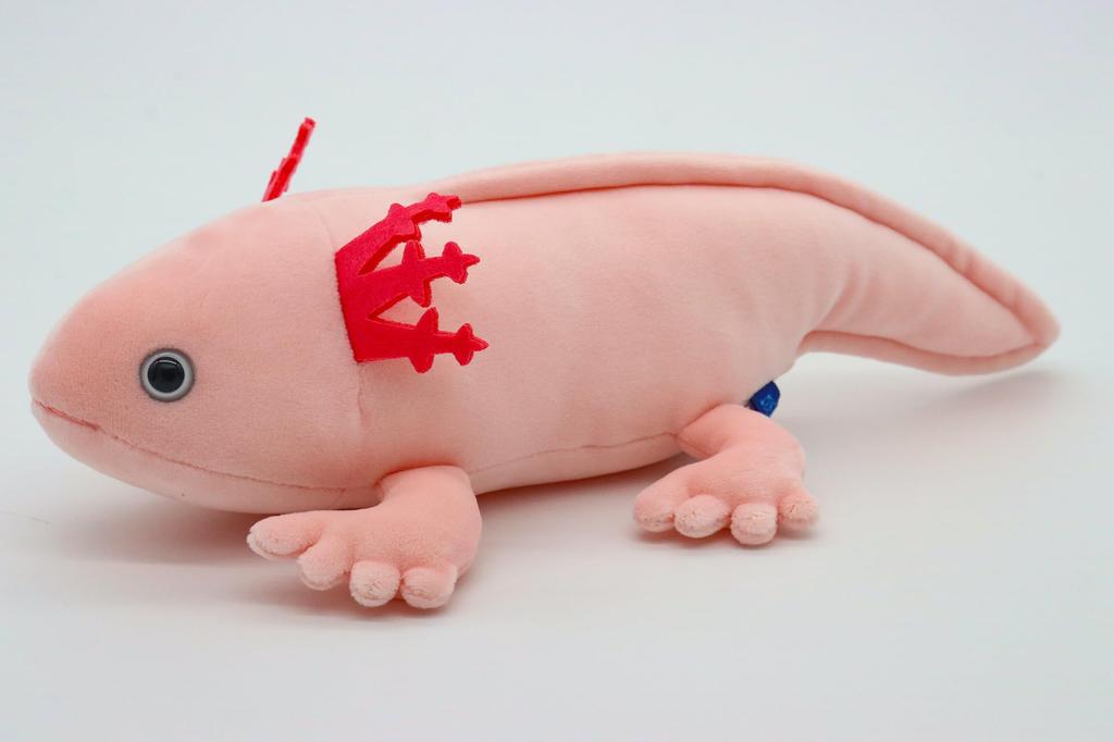 Takeoff Axolotl Small Plush Toy