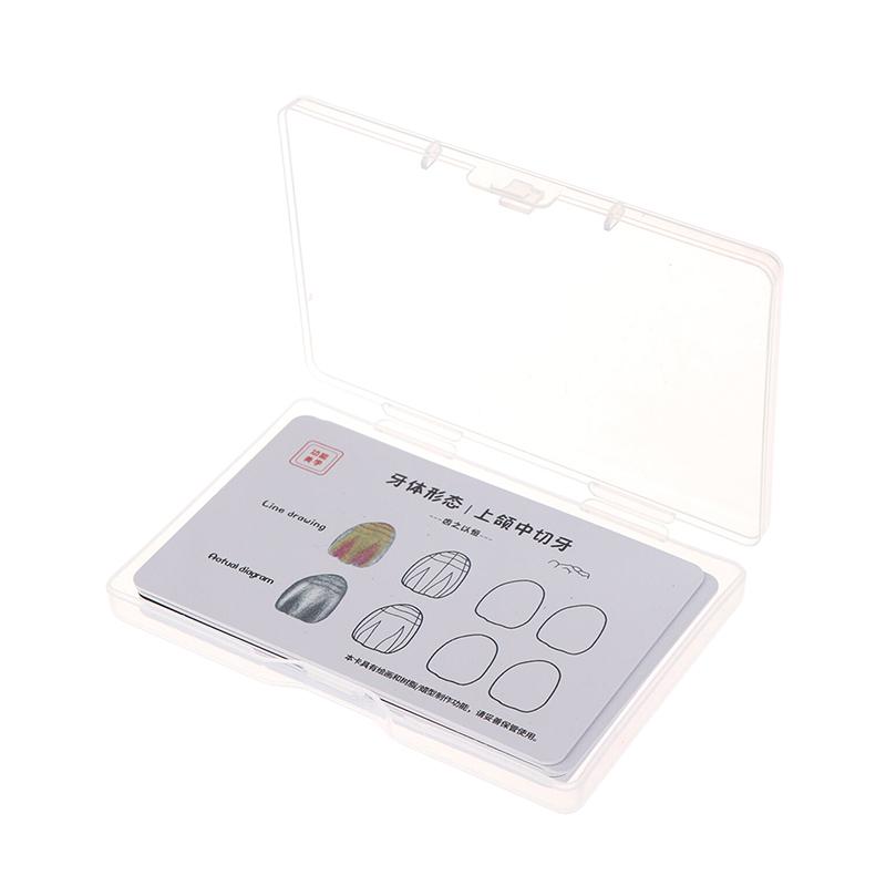 Dental Inlay Exercise Model Block Filling Exercise Plaster/Resin Materials Oral Filling Model For Dentistry Teaching Study