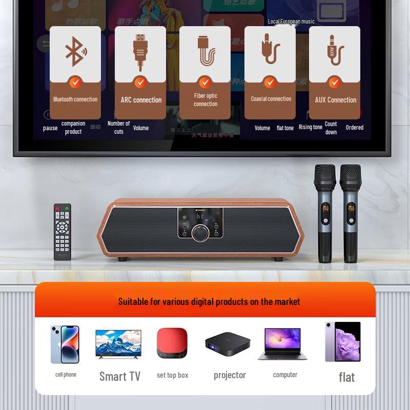 SANSUI Desktop Home KTV Karaoke Audio System