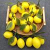 Artificial Lemon Realistic Simulation Lemon Fake Fruit Decoration for Kitchen Display Parties Decorations Photo Props
