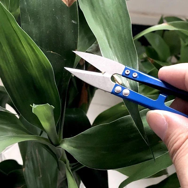 3 Stück Mini Scharf Gartenarbeit Pflanzenast Beschneidewerkzeug Nähen Kleidung Faden Schneidmesser Bequem und Praktisch Kleines Werkzeug