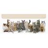 Interactive Cat Toy Automatic Cat Toys for Indoor Cats, 3-in-1 Electric Cat Toy USB Rechargeable, Kitten Toy Cat Exercise Toys