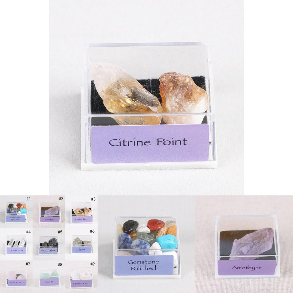 Stunning Natural Rough Stones Mixed Color Quartz Crystal Mineral Rocks Collection