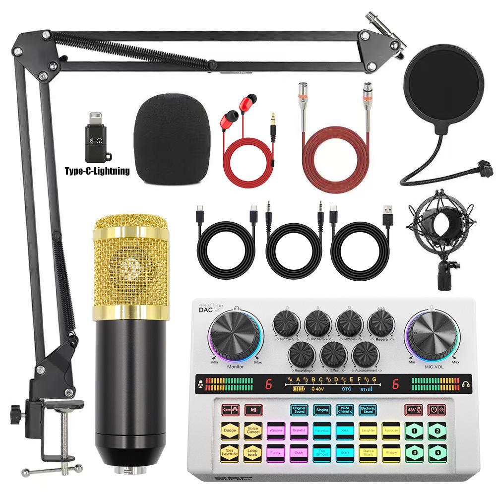 Y200 48V Zvuková karta & Rameno s mikrofonem pro živé vysílání & Podcasting