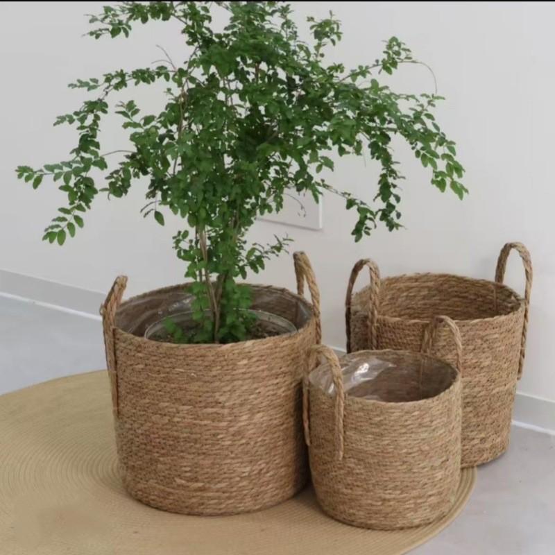Handwoven Willow Storage Basket With Handles For Indoor Plant Pots And Home Organization