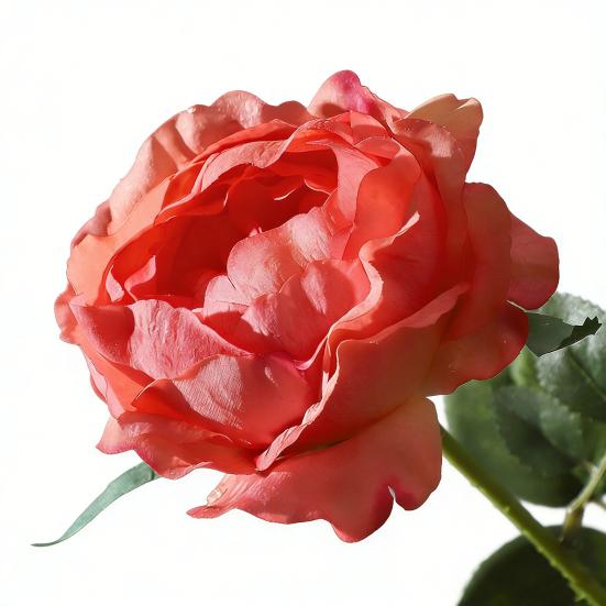 Fleur de Rose Artificielle Fausse Rose au Toucher Réel avec Tige Grandes Fleurs Branches de Roses pour Bouquet de Mariage Fête Saint-Valentin Floral