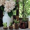 Yousheng 3Pcs Wooden Stump Candle Holder Votive Tealight Candle Stand Rustic Farmhouse Living Room Bathroom Candlestick Decoration Table Centerpiece