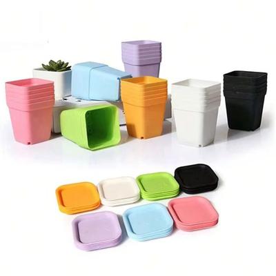 10pcs Colorful Succulent Pot Mini Seedling Tray Gardening Small Square Pot  Household