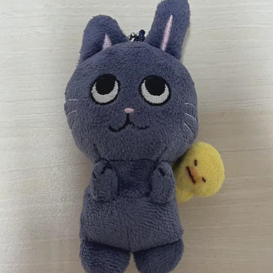 

Риизе Тонъяндок Расходы