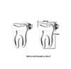 For Women Asymmetric Stud Earrings Stainless Steel Tooth Stud Earrings Doctor Nurse Accessories