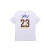 Nike Dri-FIT NBA LeBron James TEE Men White Men's BQ1541-110