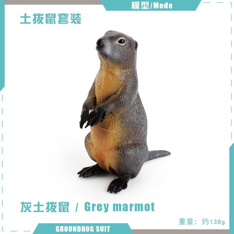 Children'S Solid Simulation Forest Animal World Groundhog Model Mouse Chipmunk Squirrel Solid Ornament Toy