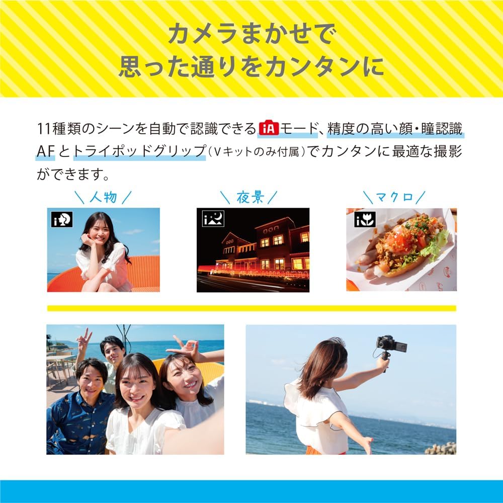 Panasonic Compact and Lightweight Mirrorless Camera Lumix Standard Zoom Lens Kit Black DC-G100DK-K