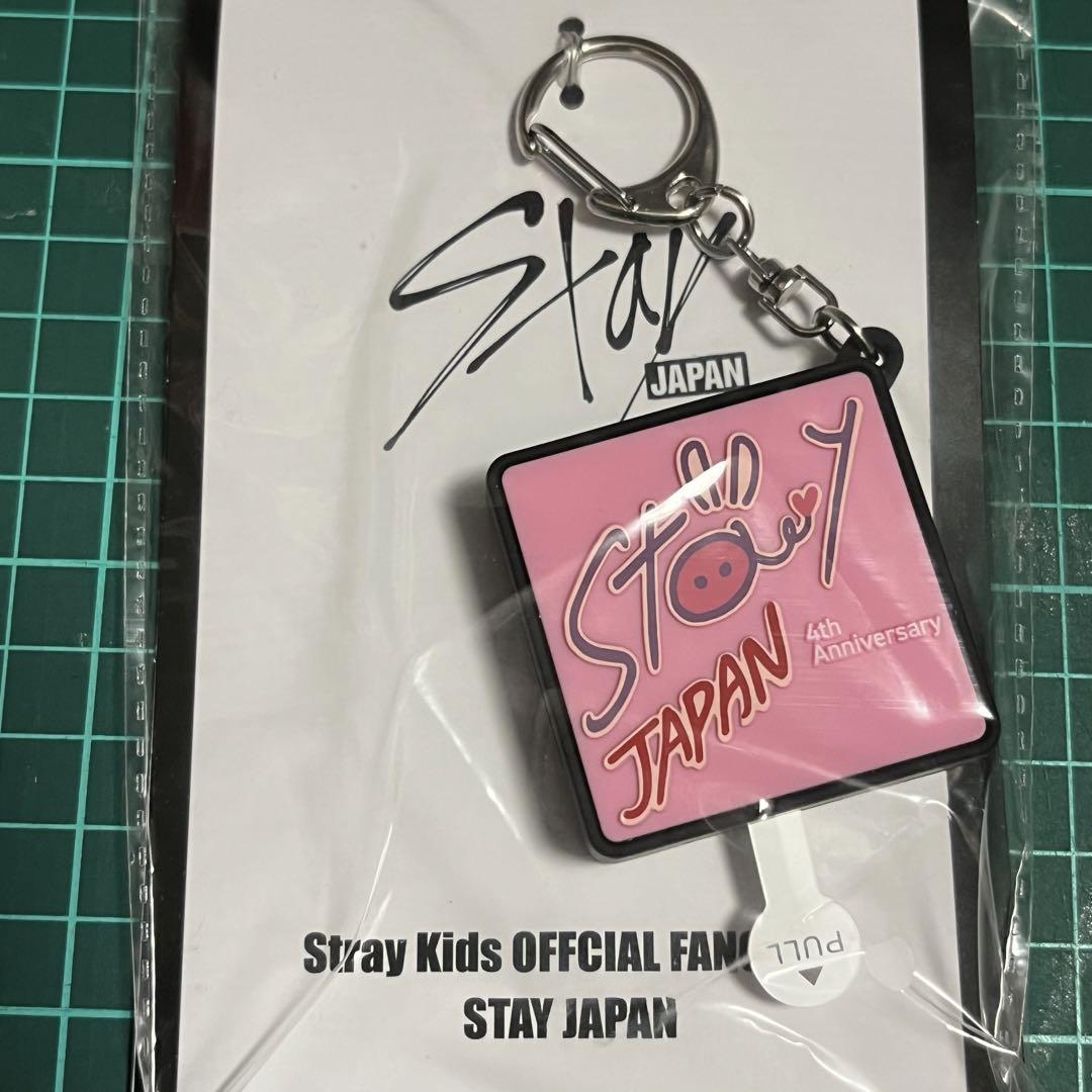 

[USED] Stray Kids Keychain Changbin