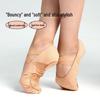 Elastic Fabric Soft Sole Ballet Dance Shoes