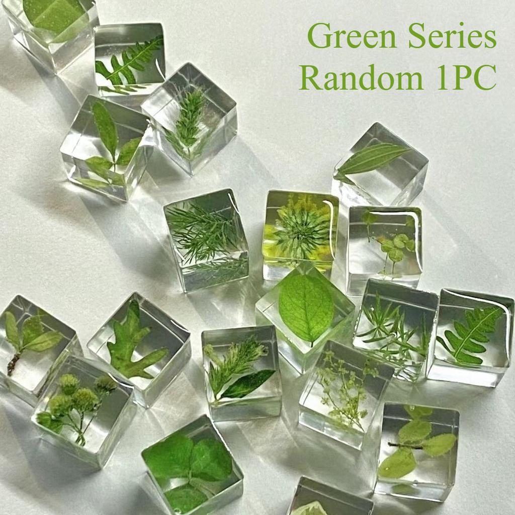 2025 5/10/20Pcs Handmade Desk Decoration DIY Eternal Flower Creative Plant 3D Specimen Squares Gift Ornament Randomly 16MM