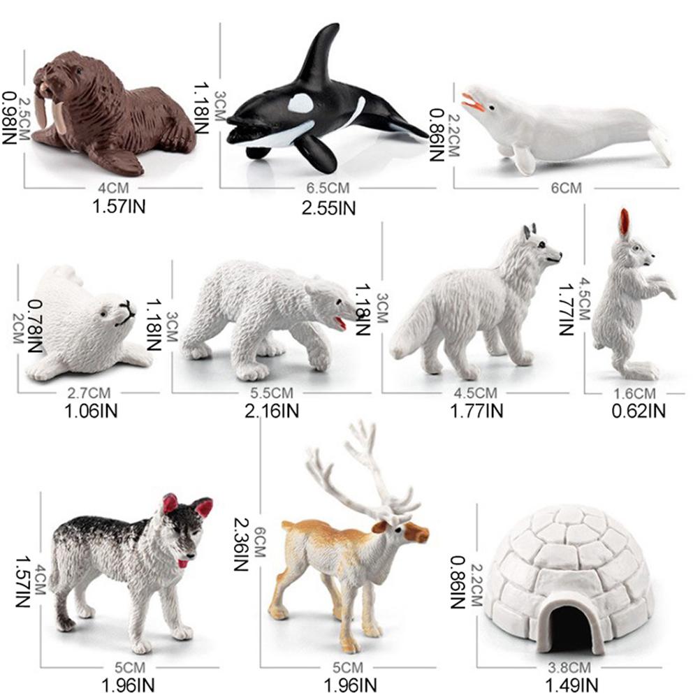 

10Pcs Arctic Circle Ocean Sea Animal Figurines Set Animal Learning Models Figures Christmas New Year Birthdays Gift