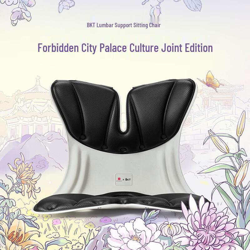 BKT Ergonomic Leather Lumbar Support Cushion