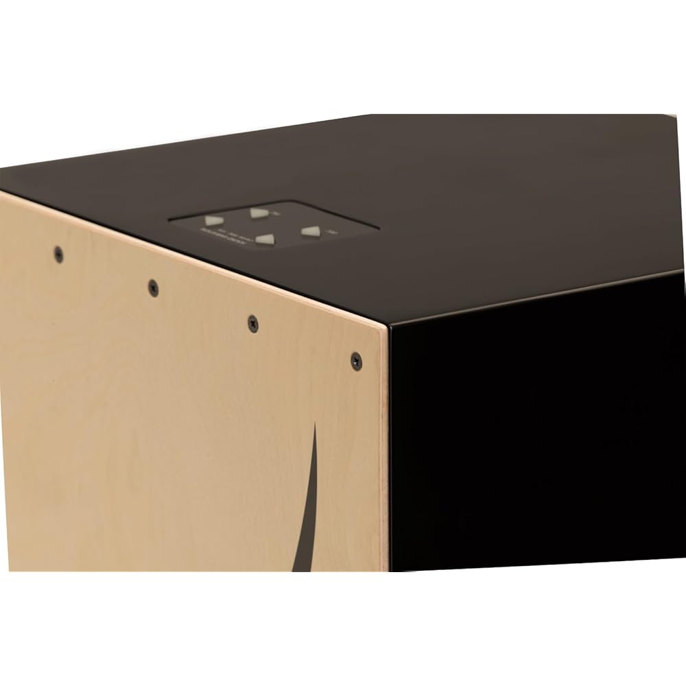 Roland Roland Roland Electronic Layered Cajon EC-10 Hybrid Cajon Sound for Various Instruments Ca...