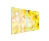 Glass Protective Plate for the Stove 2x45x52 Flower