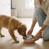 Non-slip Stainless Steel Dog Bowl Wide Mouth Cats Water Feeder  Pet Drinking Feeding
