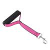 Perros – Collares y correas