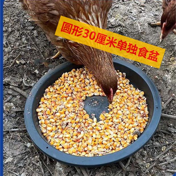

Durable Rectangular Duck & Chicken Feeder with Thickened Vulcanized Rubber