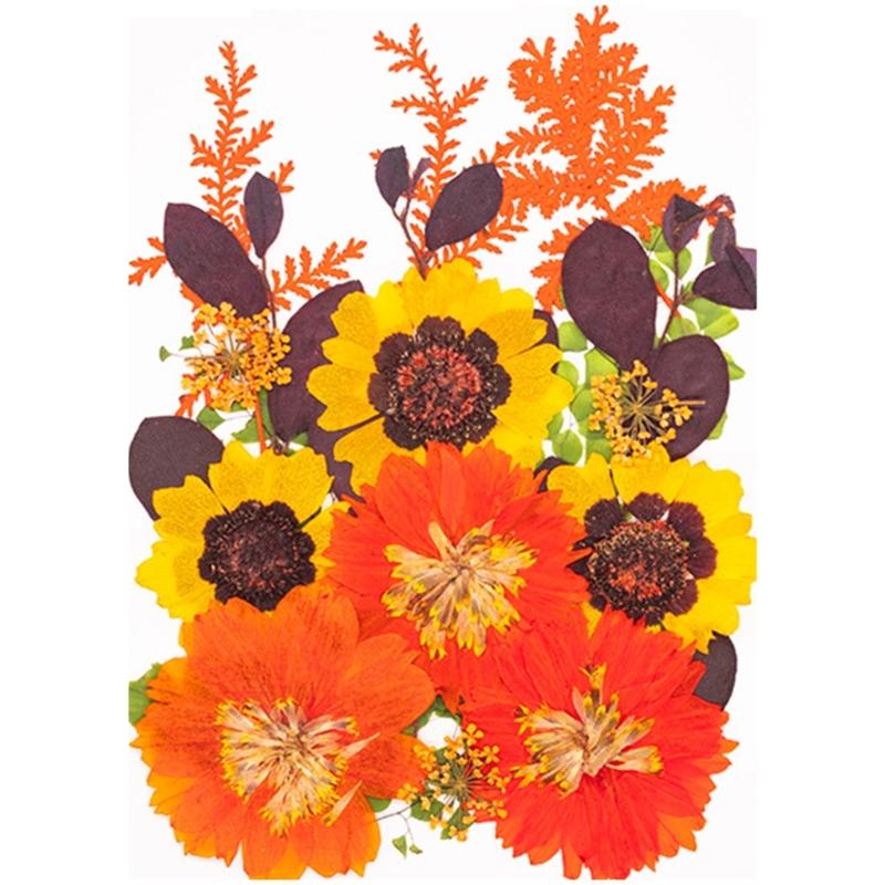Natural Dried Flower For Epoxy Resin Molds Dry Flowers and Leaves Set for Art Craft Candle Jewelry Making Scrapbooking
