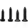 Black KA Mixed Self-Tapping Screw Set: Cross Countersunk, Flat, Round, and Pan Head