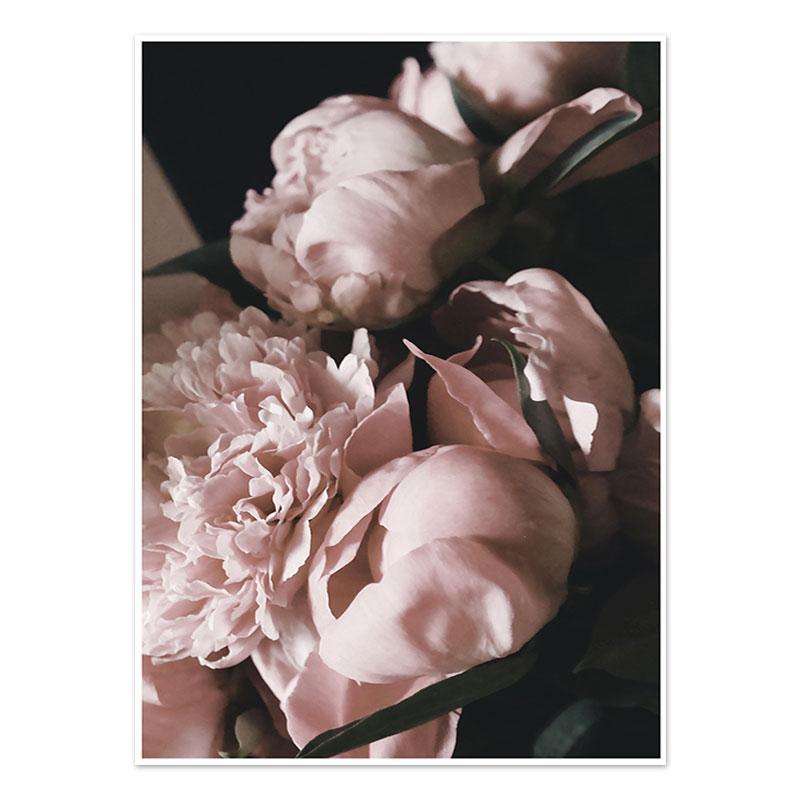 Nordic Style Wall Posters Flower Paintings for The Living Room Aesthetic Room Decor Picture on The Wall Art Canvas Prints