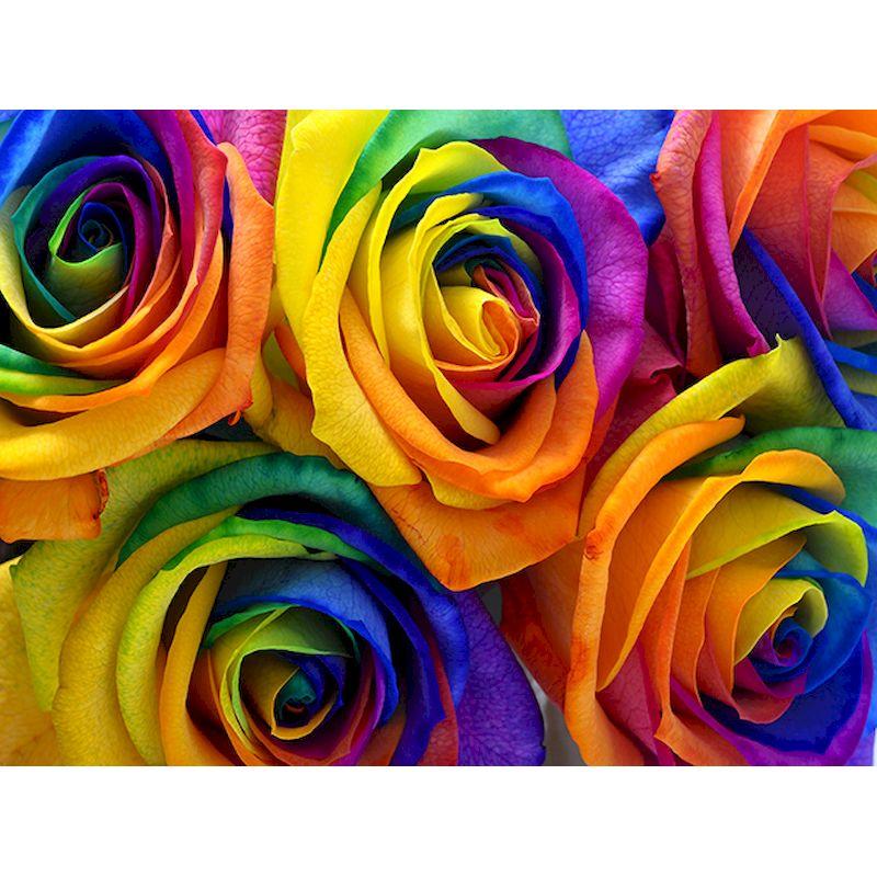 5d Full Drill Diamond Painting Colorful Landscape Diamond Mosaic Embroidery Picture Of Rhinestones Home Decoration