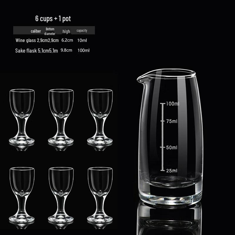 Glass Wine Decanter & Dispenser Set