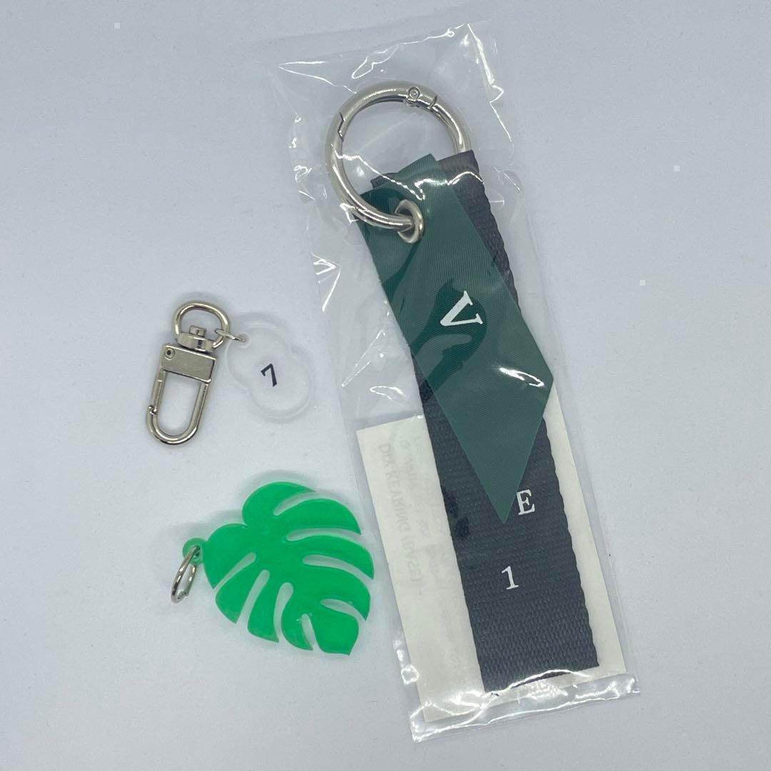 

[USED] BTS V TYPE1 Exhibition Taehyung Keyring Charm Set